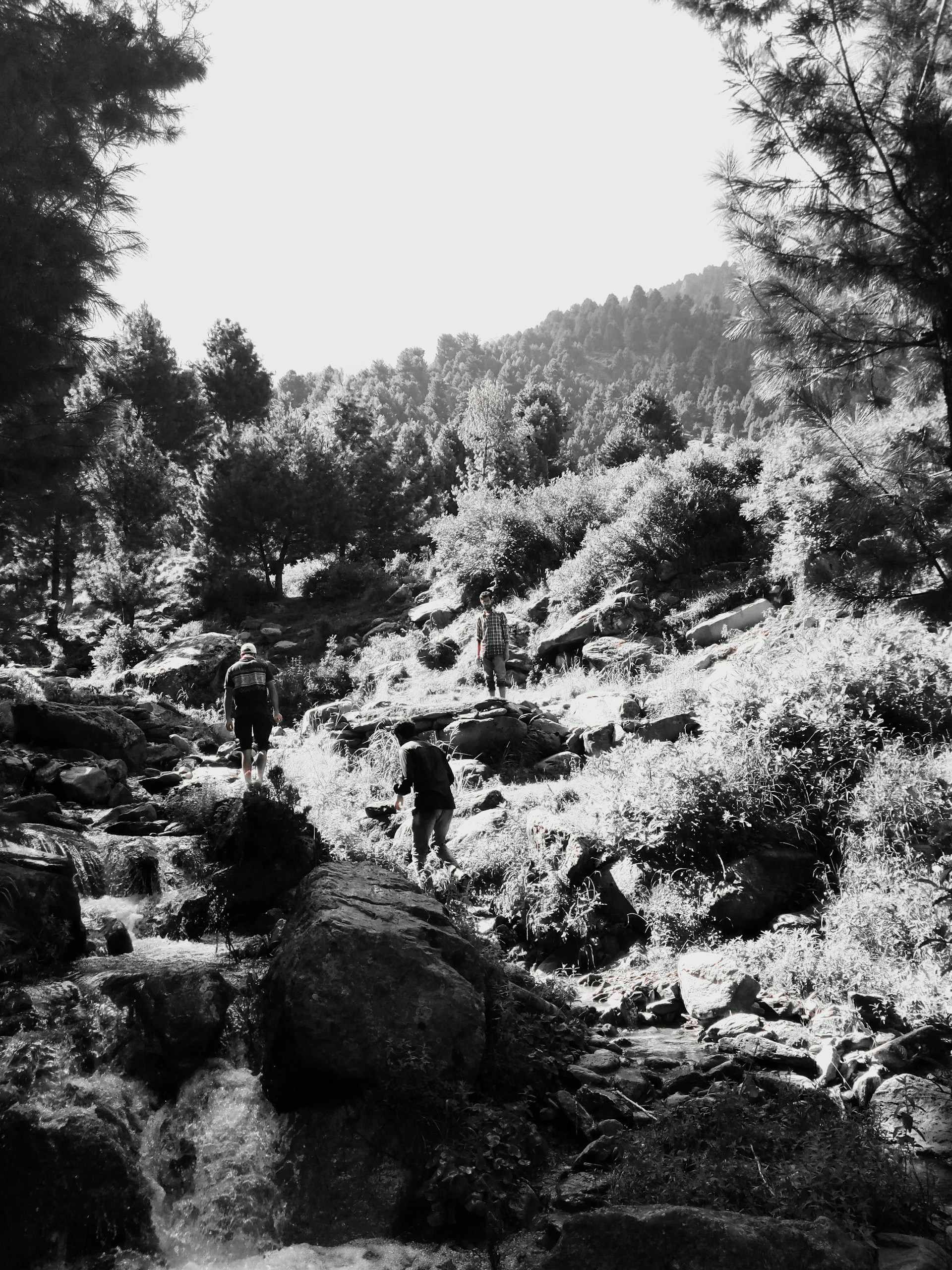 A lively image showing a mix of campers from various ethnicities hiking along a forest trail during the camp.
