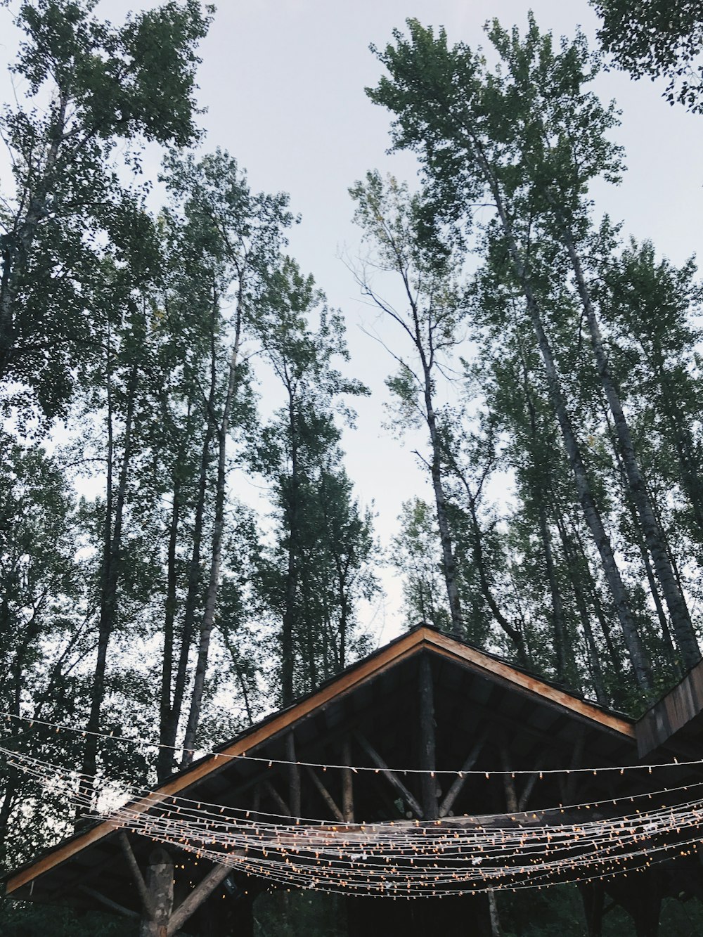 brown wooden house covered by trees during daytime