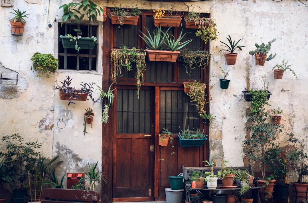 brown doors with plants, beautiful old street in barcelona.