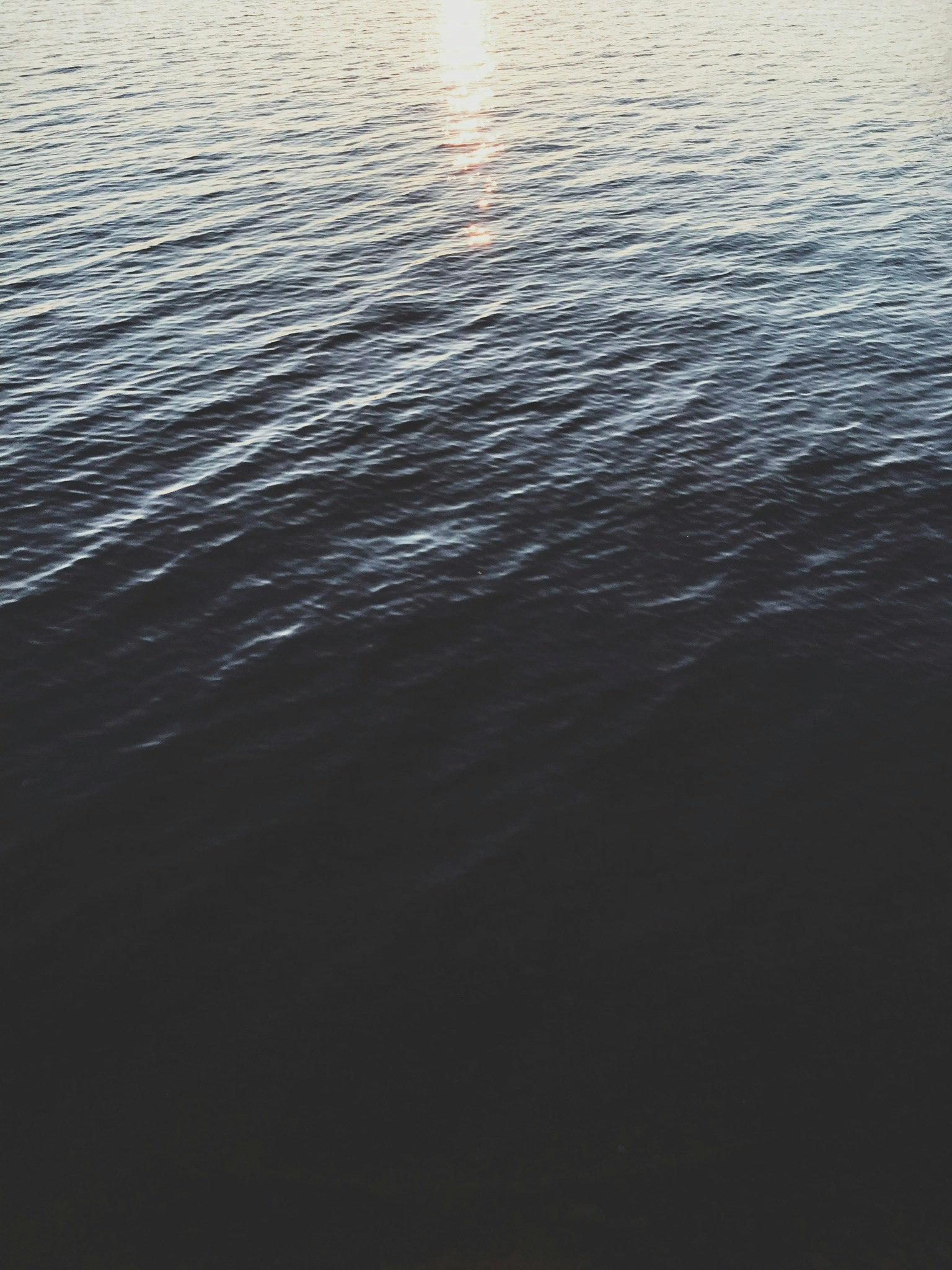 Photo by mickeyoneil