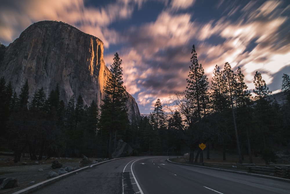 time lapse photography of road surrounded with trees