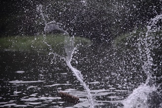 Water splashes creating dynamic patterns against a dark background, with droplets suspended in mid-air and ripples forming on the water surface.