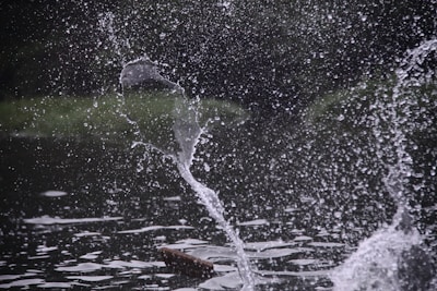 Water splashes creating dynamic patterns against a dark background, with droplets suspended in mid-air and ripples forming on the water surface.