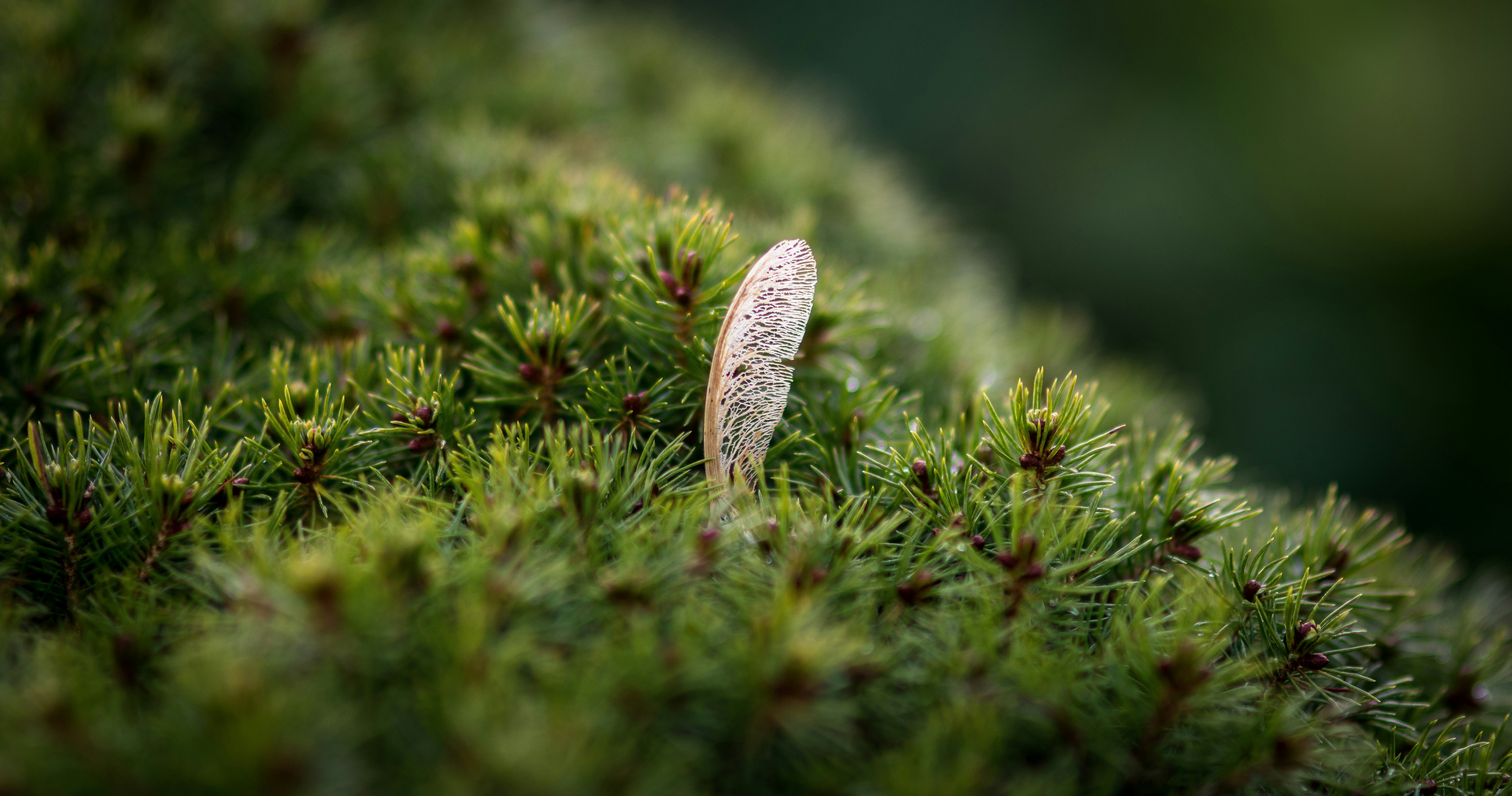 Photo by lachlangowen