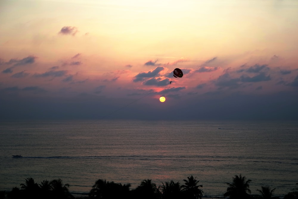 silhouette di alberi e paracadute vicino alla riva del mare durante le ore d'oro