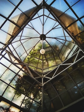 A glass roof structure with metal framing, allowing sunlight to illuminate the area with reflections of foliage visible on the panels. A central hanging light fixture is noticeable amidst the angular geometric pattern.