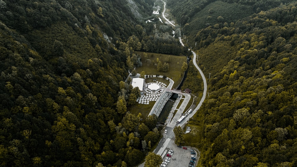 Photographie aérienne de bâtiments entre les forêts