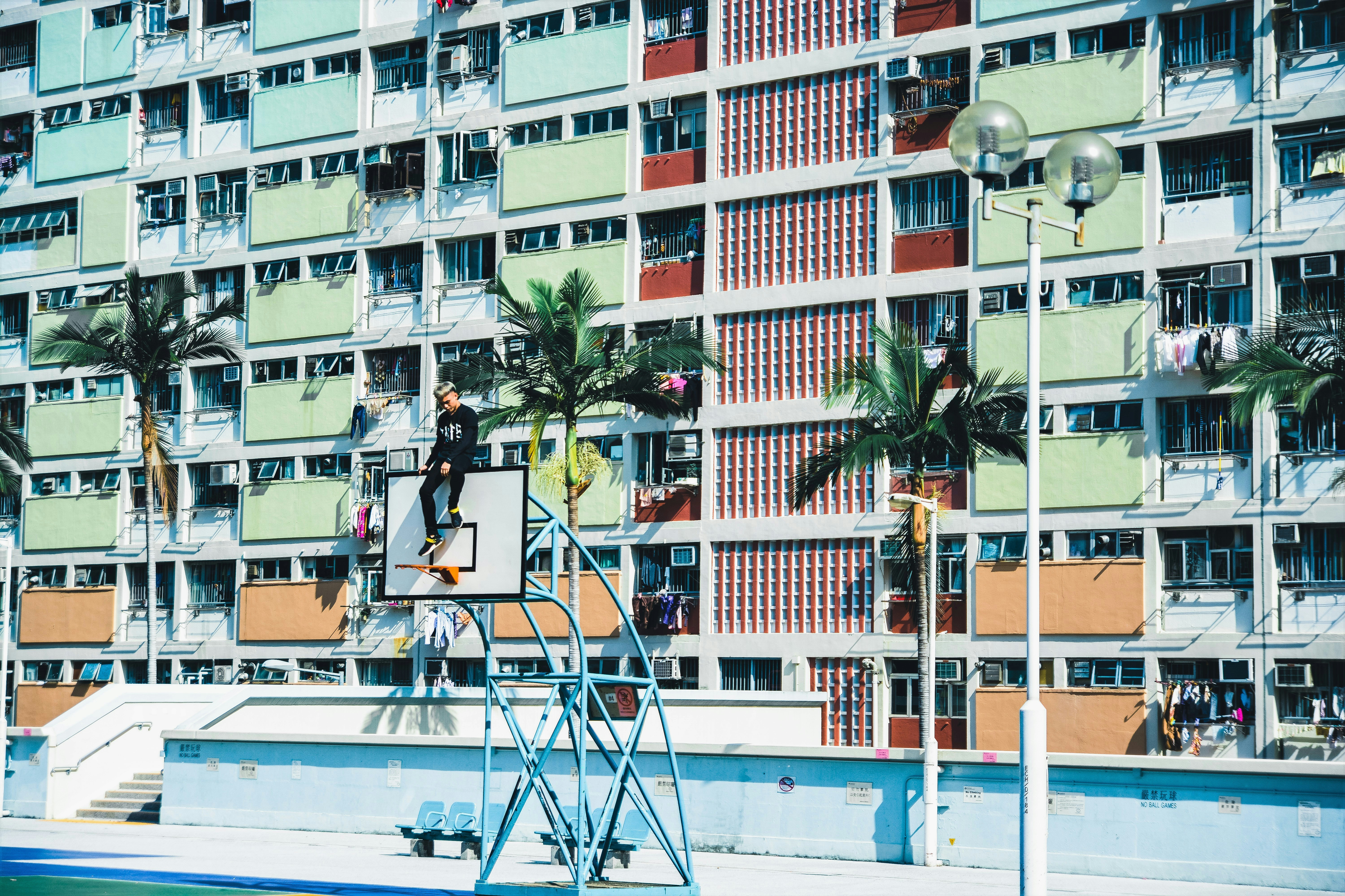 虹市镇人口_人口普查(2)