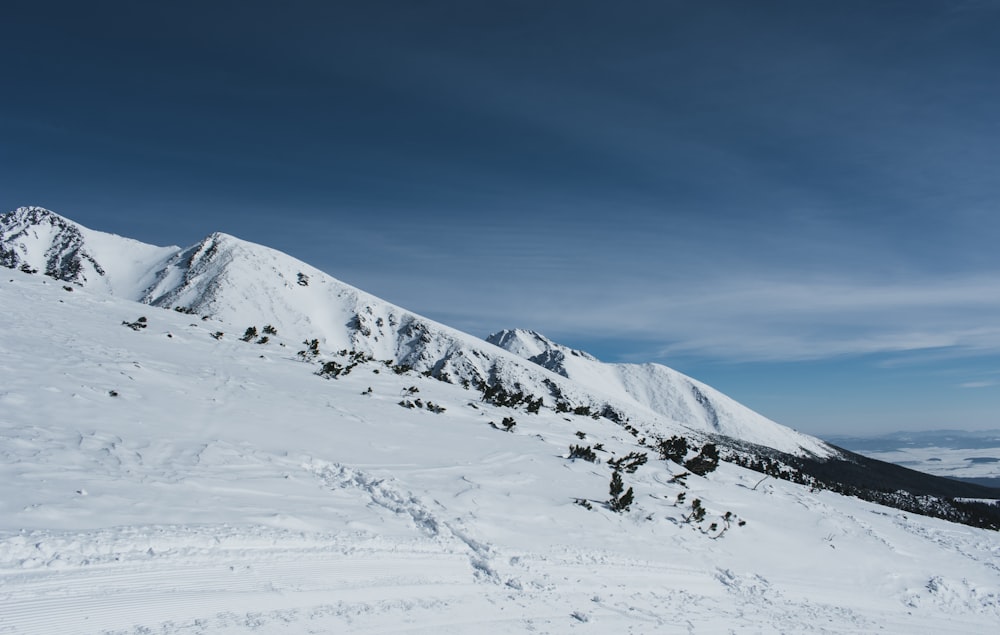 白と青の曇り空の下の氷河の丘