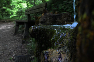 A serene garden corner with moss-covered stones and a small wooden bench.