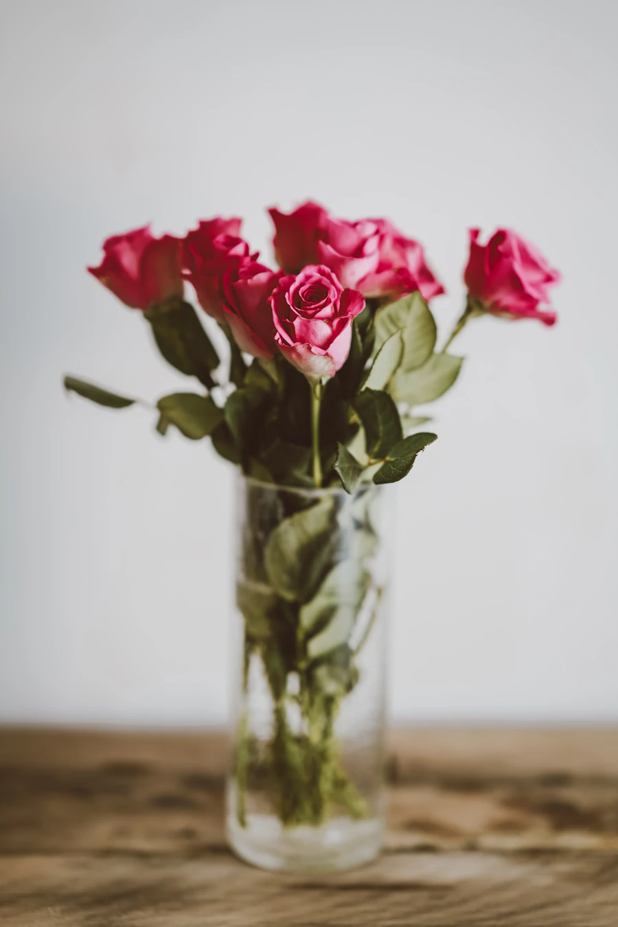Floral Indulgence