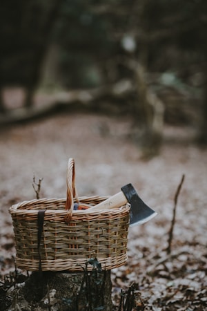 A wicker basket is placed on a tree stump in a forest setting. Inside the basket, there is an axe with a wooden handle. The background is blurred, with a mix of earthy tones from tree trunks and fallen leaves, creating a natural woodland atmosphere.