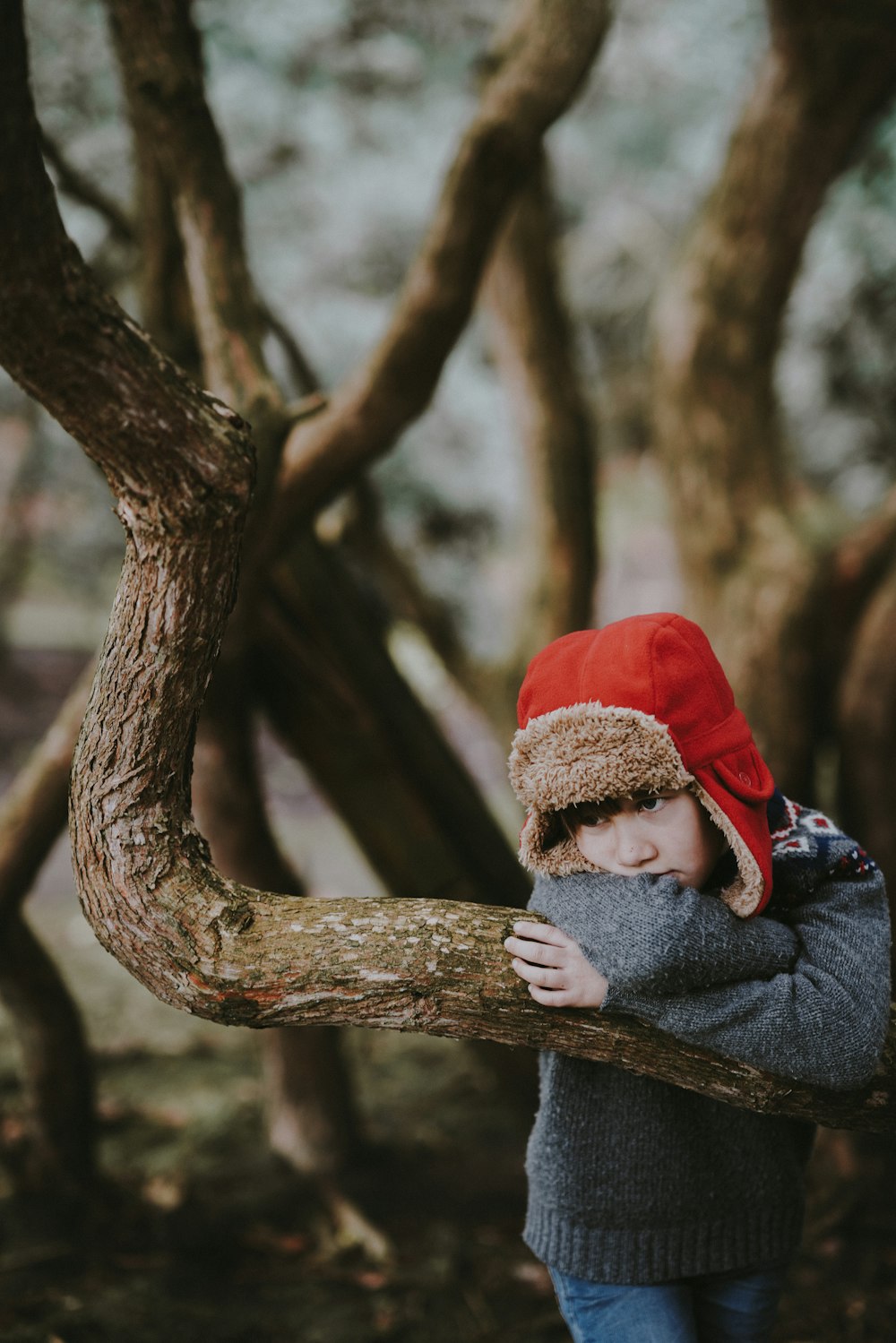 low light photography of boy in red ushanka hat learning on tree branch