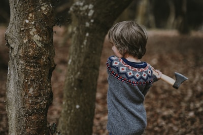A young child in a knitted sweater with a colorful pattern holds a small axe, preparing to chop wood in a forest setting. The trees around are covered in textured bark, and the ground is layered with fallen leaves, giving a sense of autumn.