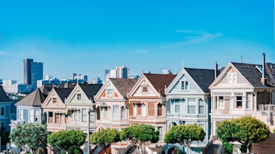 Painted Ladies