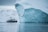 A large iceberg floats in a calm sea with a ship navigating nearby. Snow-covered hills are visible in the background, capturing a cold and serene polar environment.
