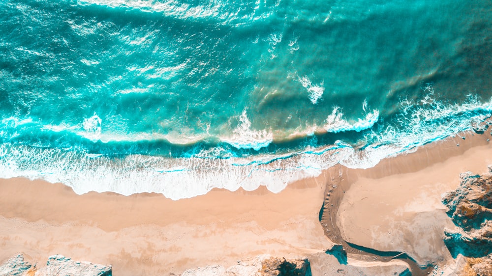 aerial photography of seashore