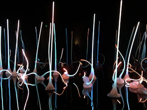 An art installation at a cultural center supported by the foundation, glowing warmly at dusk.