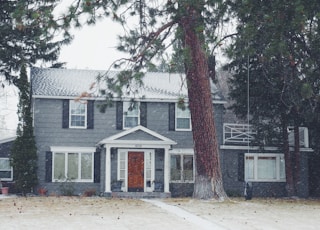 gray and white wooden house near green leaf tree