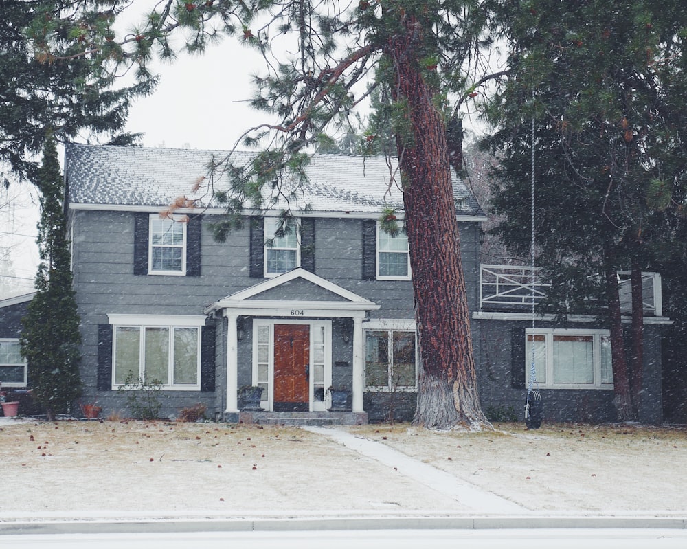 gray and white wooden house near green leaf tree