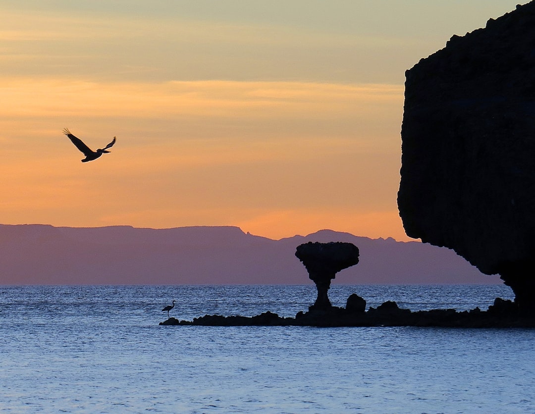 travelers stories about Ocean in Balandra Beach, Mexico