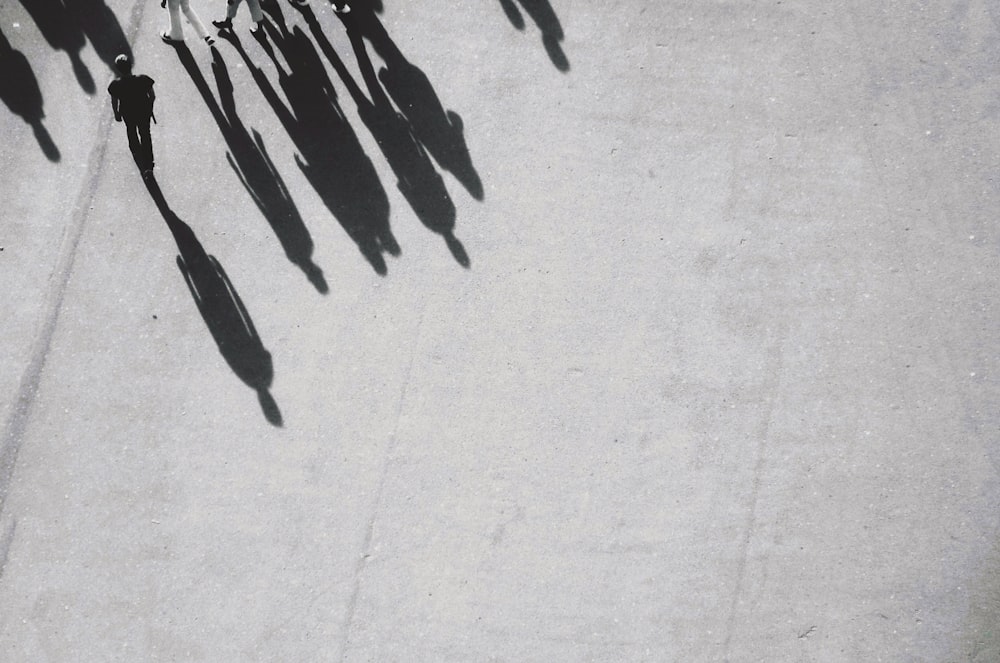 grayscale photography of shadow of people walking