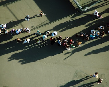 aerial photography of people