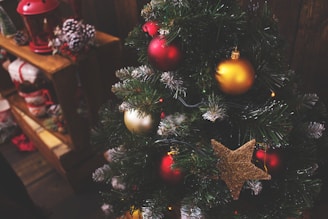 A decorated Christmas tree with green branches adorned with red and gold ornaments, including a large golden star. In the background, wooden shelves hold various holiday decorations like pinecones and seasonal items.