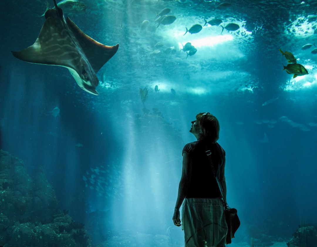 Underwater photo spot Oceanário de Lisboa Portugal