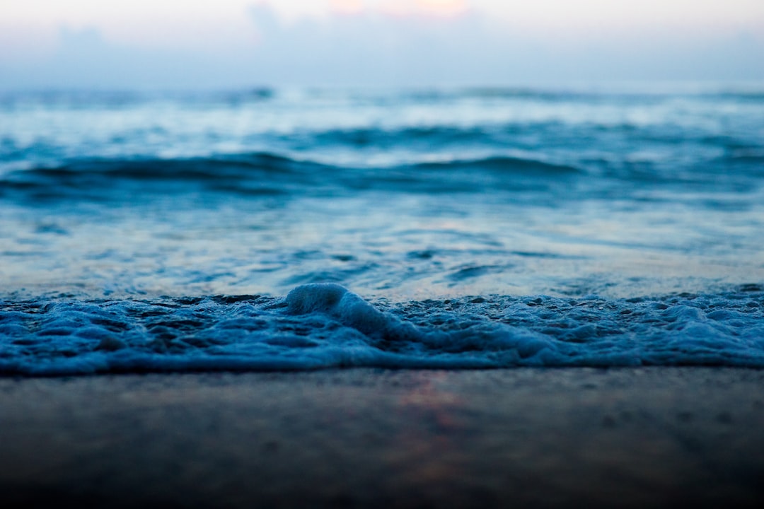 selective focus photography of sea