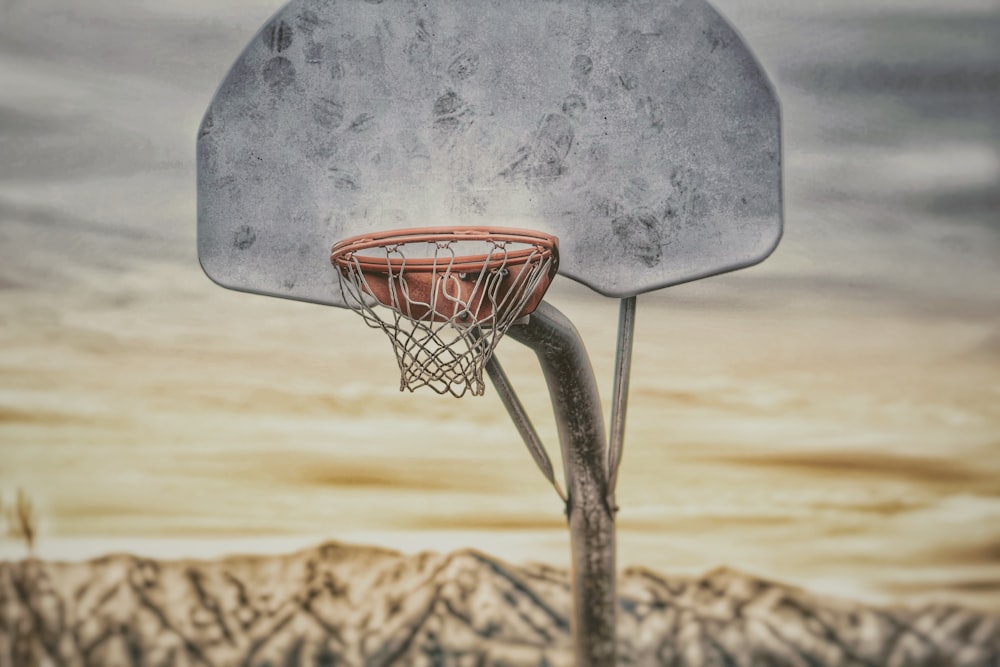 canasta de baloncesto gris