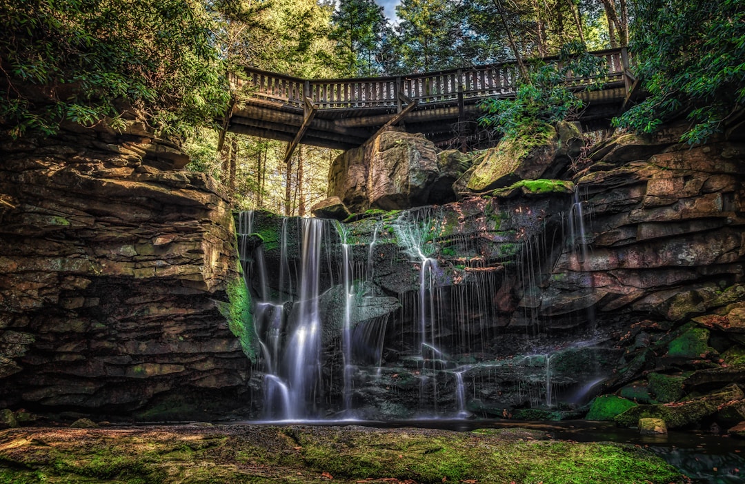 waterfalls near wooden bridge and trees wallpaper