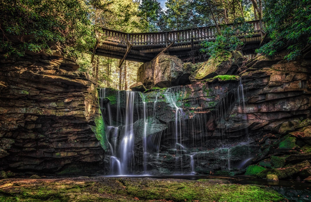 waterfalls near wooden bridge and trees wallpaper, blackwater falls