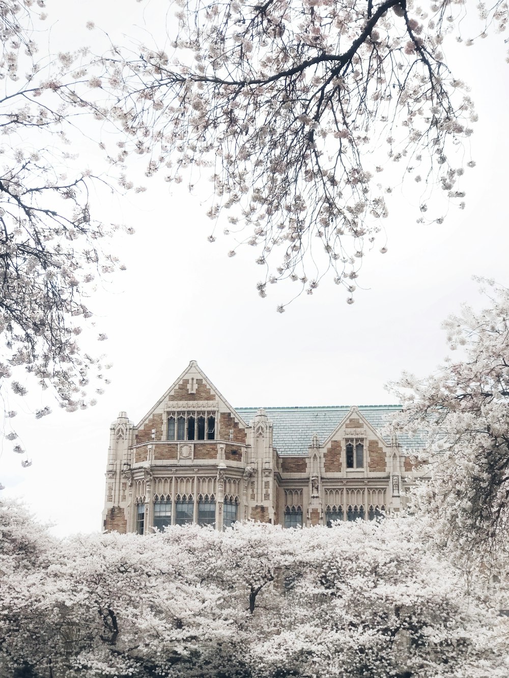 casa marrone e grigia vicino agli alberi