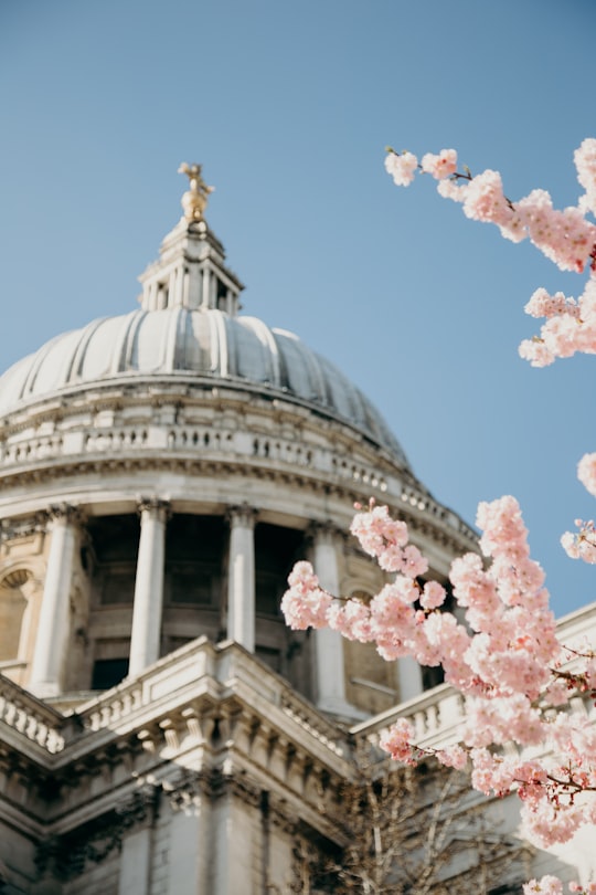 worm's eye of cathedral in St. Paul's Cathedral United Kingdom