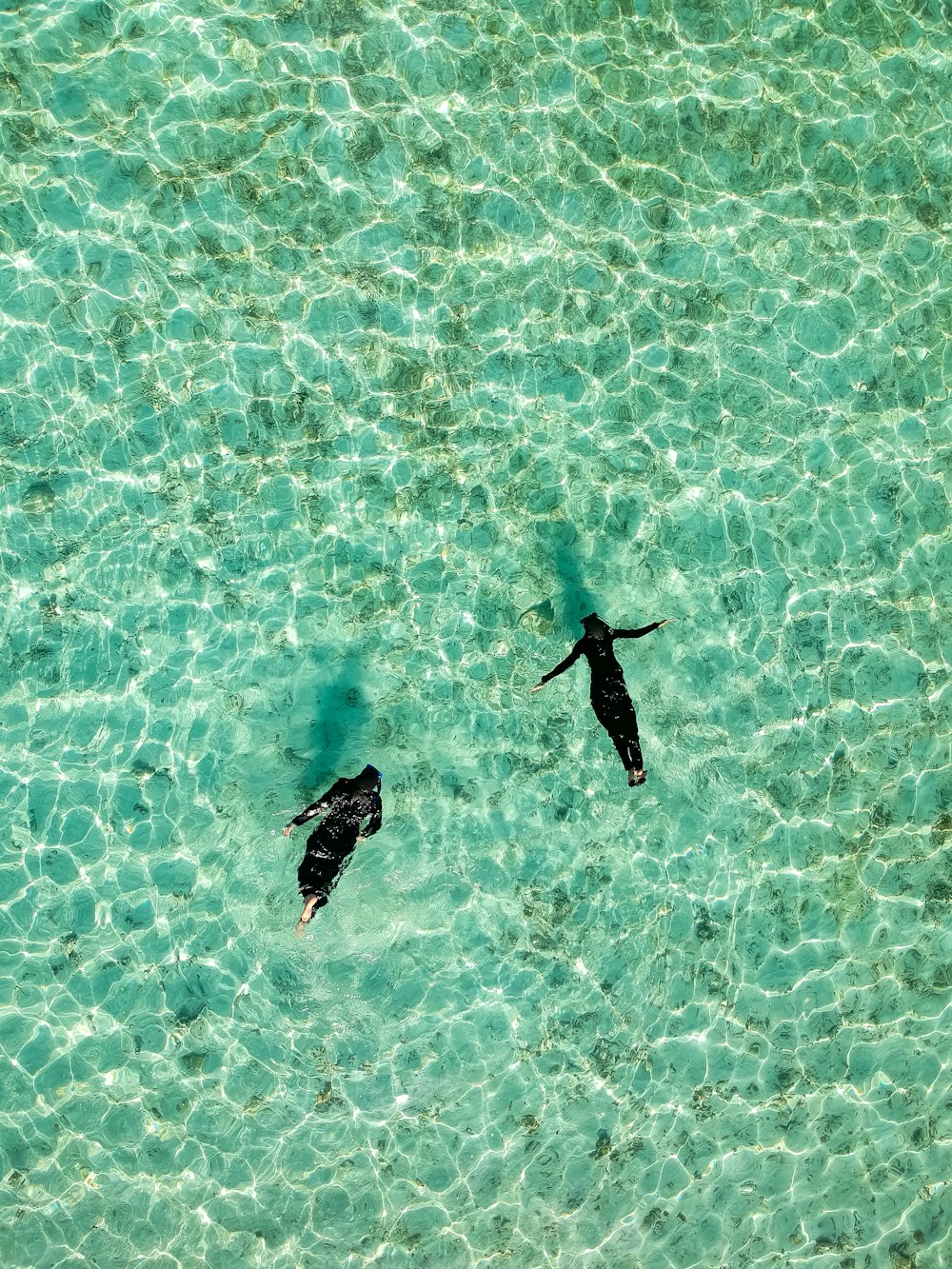 aerial photo of two human swimming on body of water
