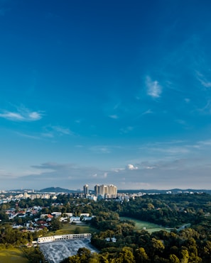 Aerial view of a vibrant cityscape with greenery.