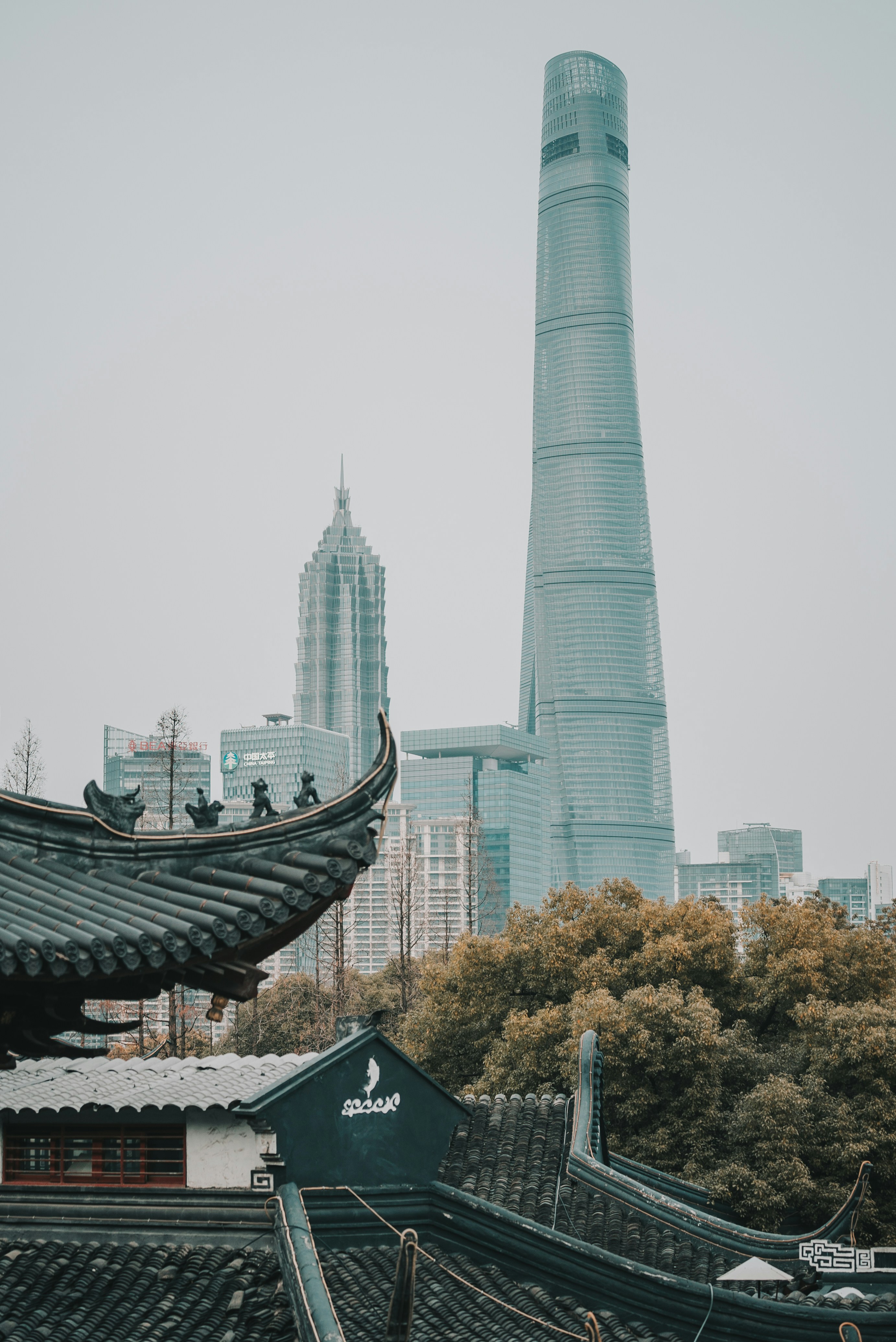 Photo by yiranding