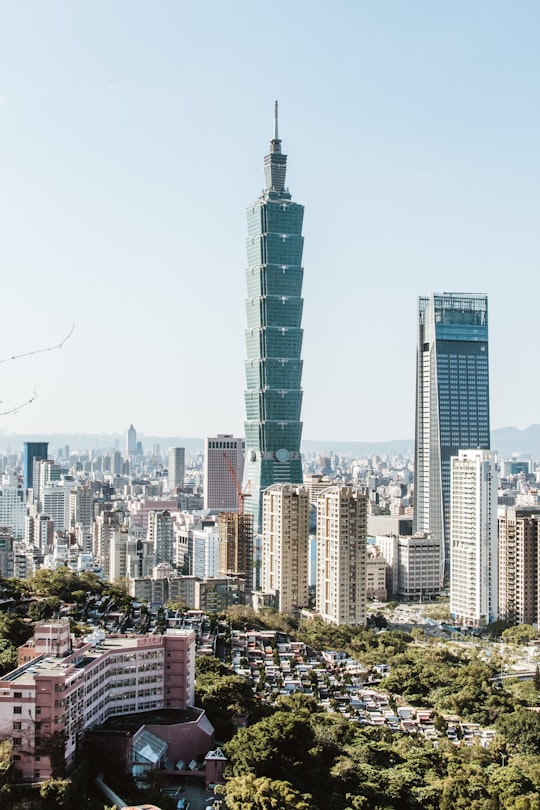 high-rise buildings with green trees in Xiangshan Hiking Trail Taiwan