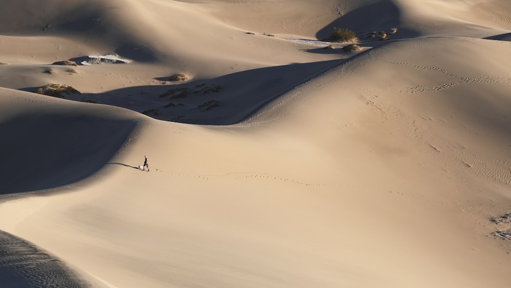 person walking alone in middle of desert