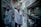 man standing in kitchen