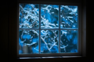 Reflection of snowy trees in a freshly cleaned window, capturing the Arctic spirit.