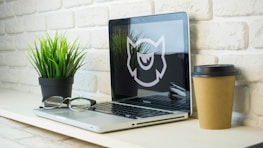 A serene workspace with a plant and coffee cup, representing a comfortable remote working environment.