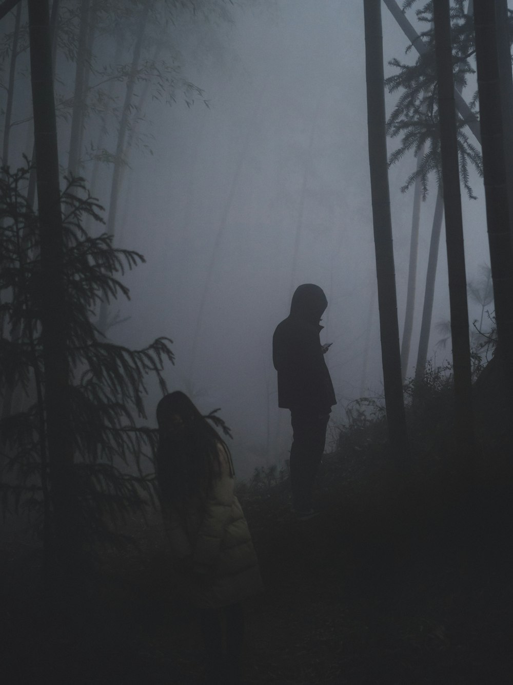 duas pessoas na floresta com nevoeiro espesso