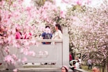 Smiling family enjoying cherry blossoms in Japan during springtime