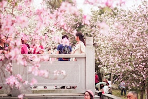 Smiling family enjoying cherry blossoms in Japan during springtime