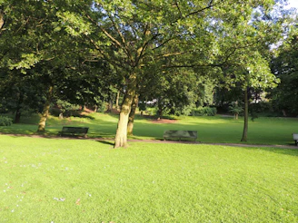 Peaceful lush green park within Hemis One township with benches and walking paths basking in soft sunlight