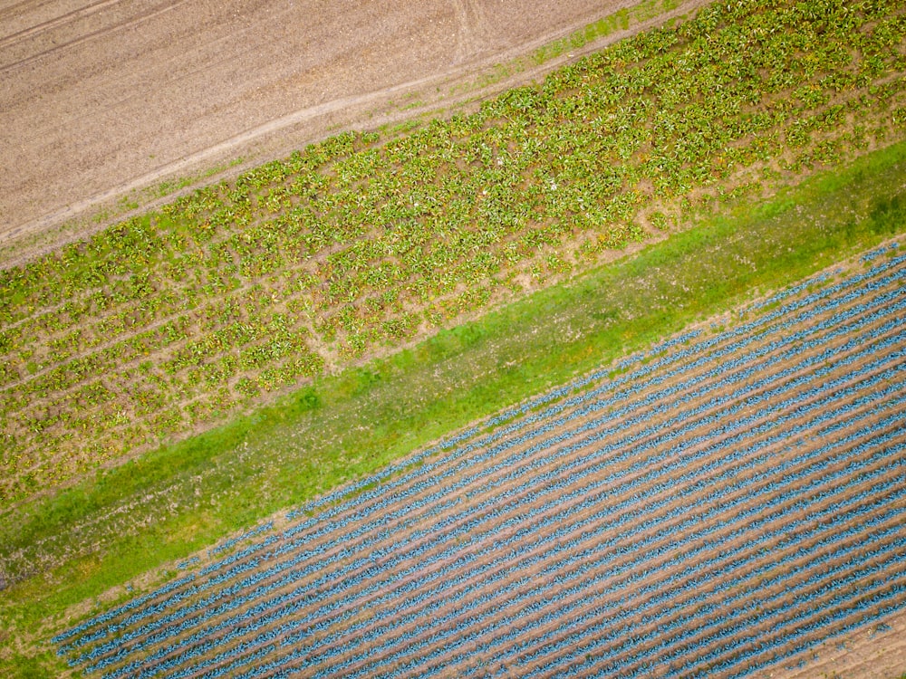 an aerial view of a plowed field