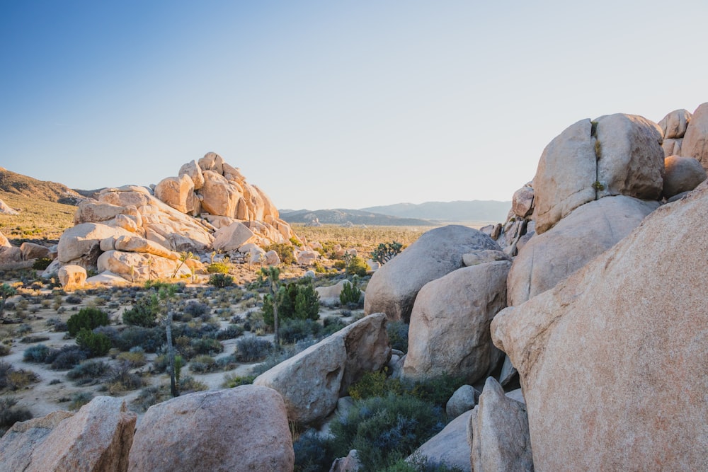 landscape photography of rock formation