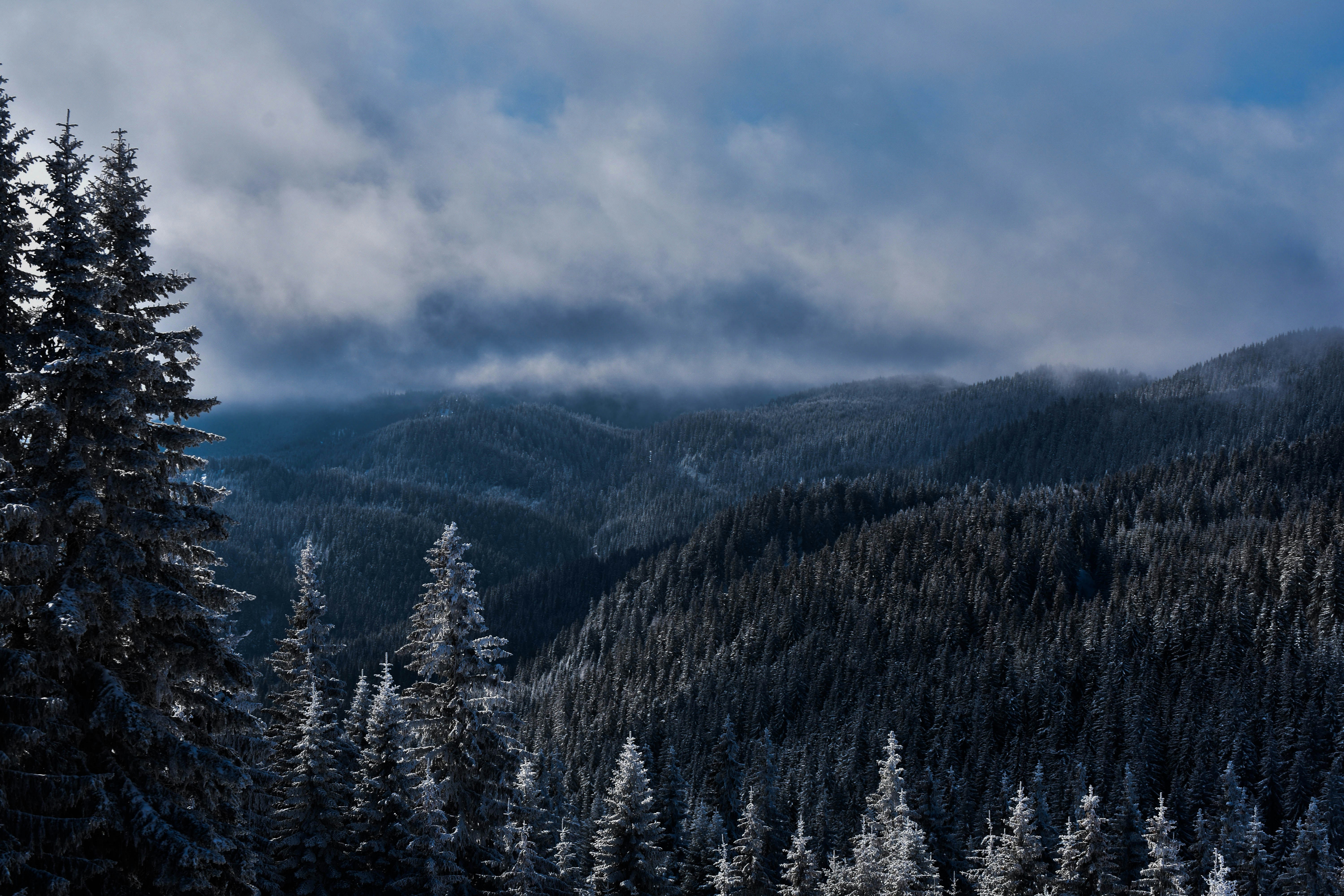 Views of Pamporovo